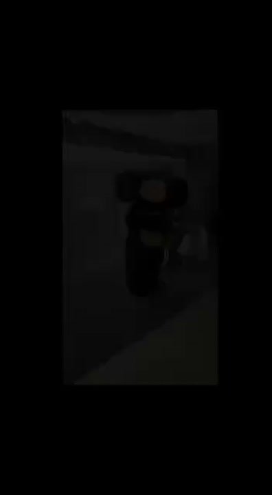 Новогодние каникулы нужно проводить в хорошей компании!