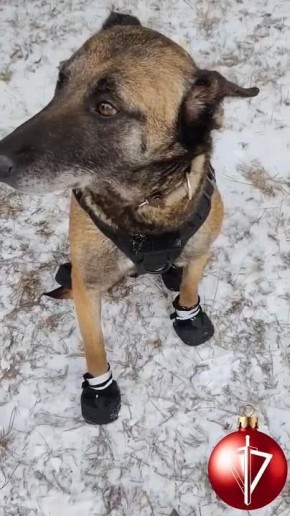 ����� � ���������� � ��� ��� ������, � �� ��� ����