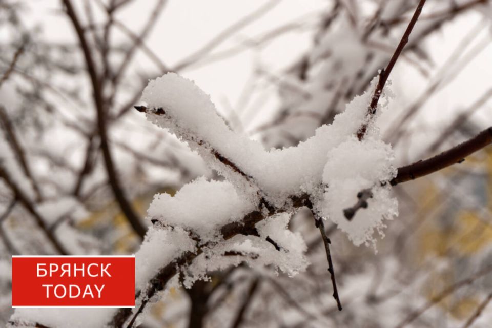 ����� ������: ������� ������������ � ������� �������� �������