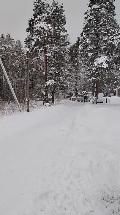 В поселке Пальцо Брянского района дороги стали чище!