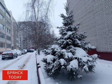 «От минус восьми до нуля»: брянцам сообщили о погоде на 4 января