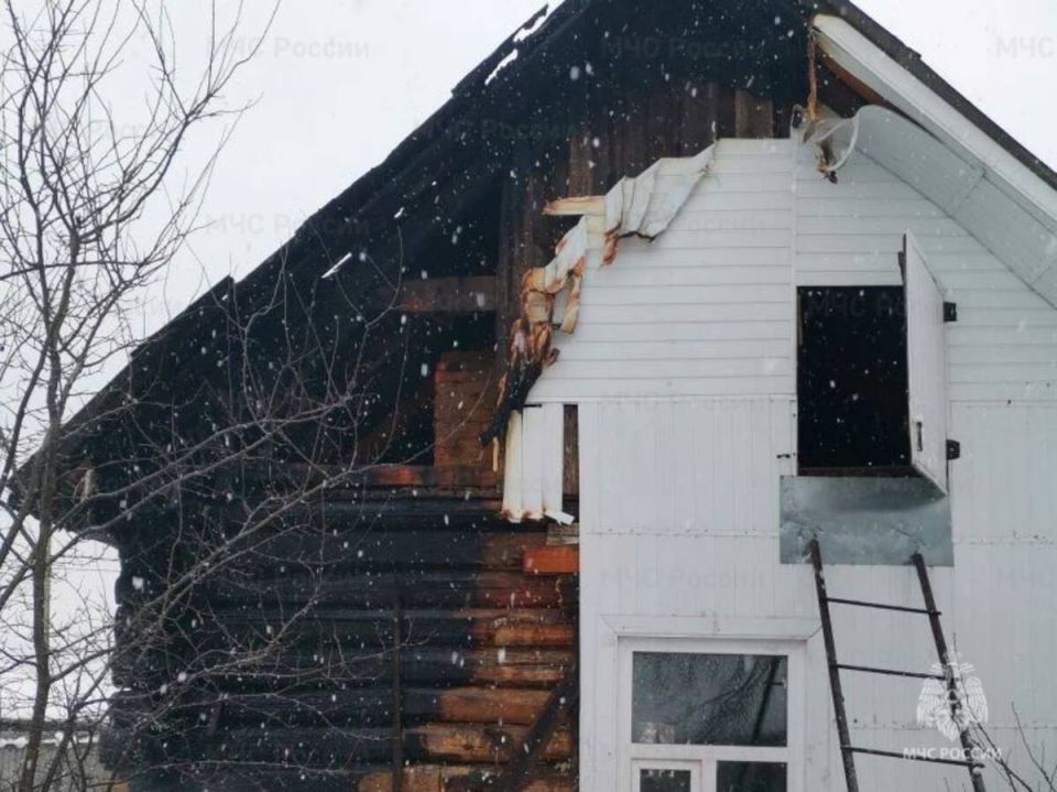 � ���� ���������� ������ ������ ����� ���