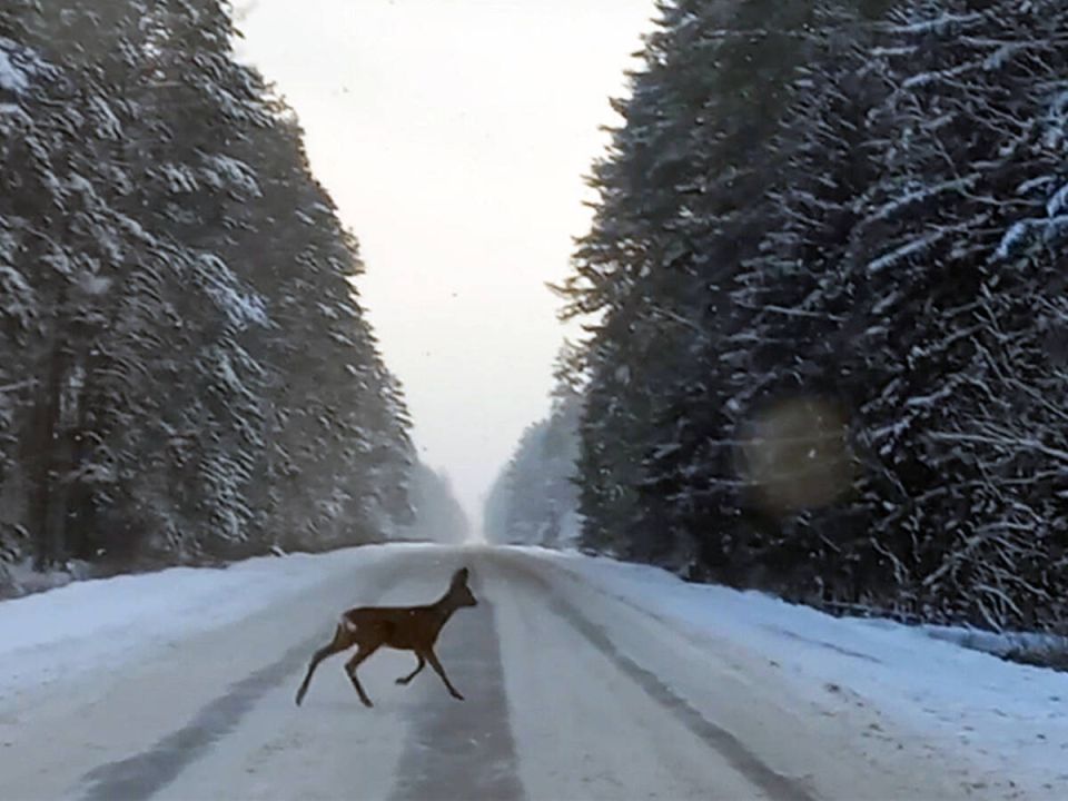 � ��������� ������ �������� ������ ����� �� ����� ��������� ������