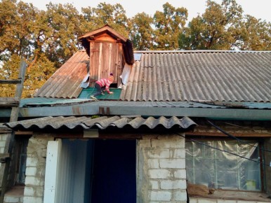 Что объединяет Николая II, Кемеровскую область и брянские крыши?