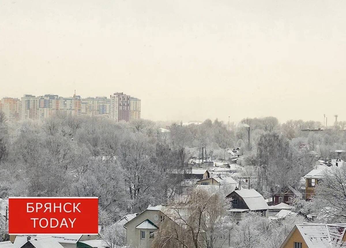 Жителей Брянской области пугают морозами до ?25 градусов