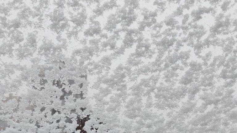 ������ �� 12 � ���� ��������������� � �������� �������