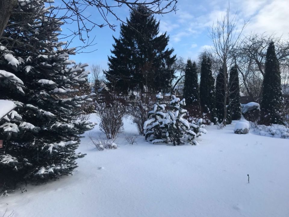 � �������� ������� ����������� ������