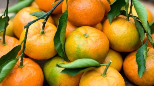 В Брянске вслед за хлебом начали активно скупать мандарины