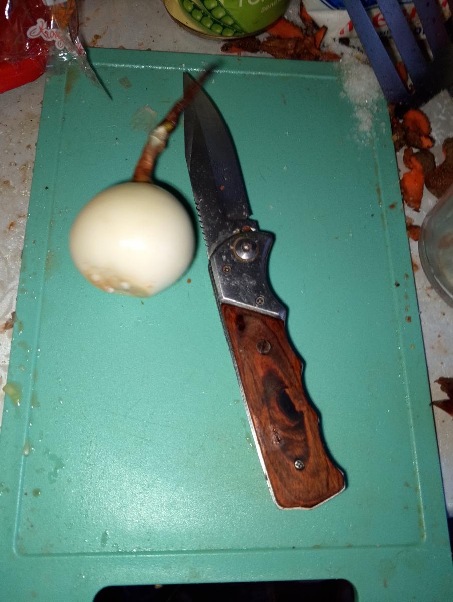 В последним числам текущего года в России стандартизируют шаурму