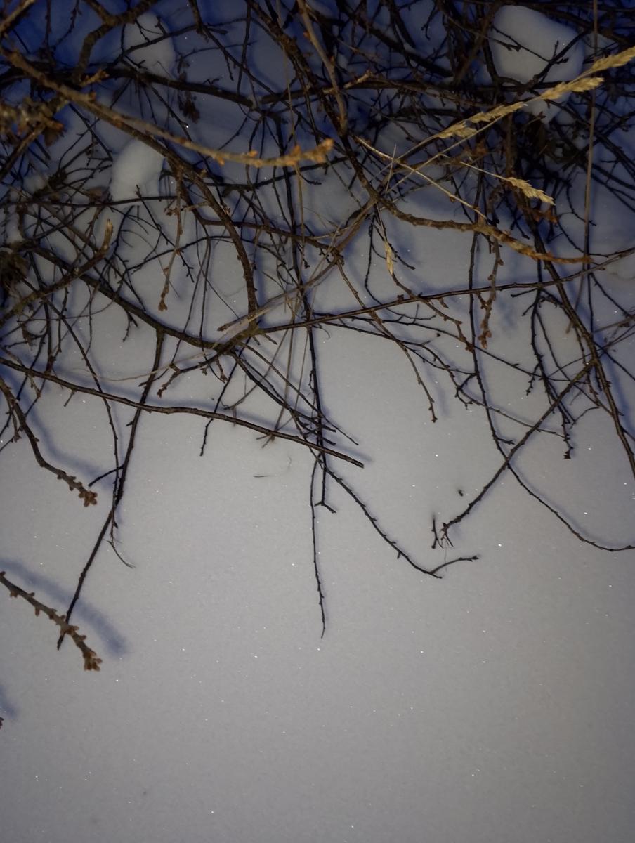 Брянцев попросили быть внимательнее на дорогах