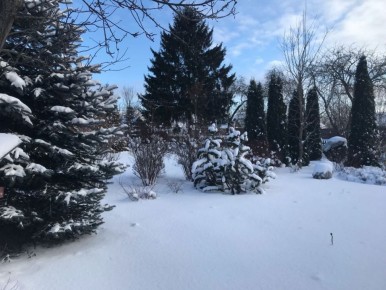 ������� ����������� ������� � ������� ��������