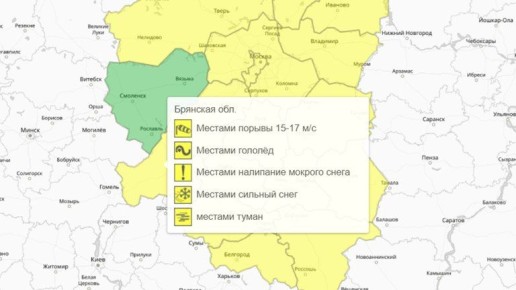 Жёлтый уровень погодной опасности объявили в Брянской области
