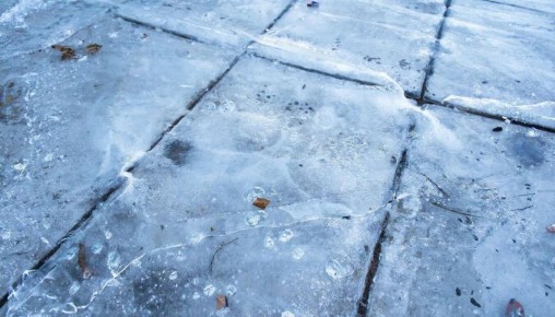 ������ ����������� � �����: ����� ��������� ����� ������������ ������