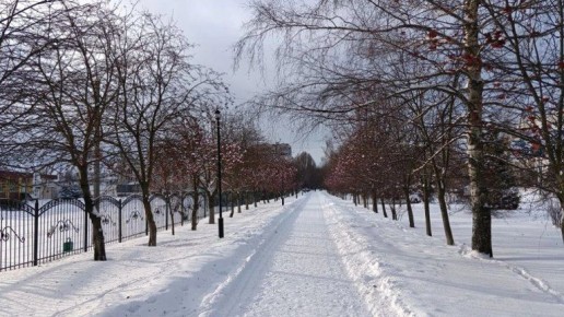 Брянцев призвали информировать о проблемных местах с наледью и снегом