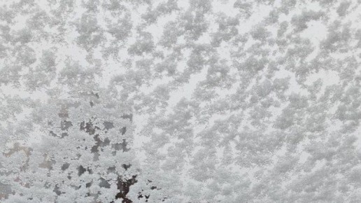 Богомаз обратился к брянцам со срочным предупреждением