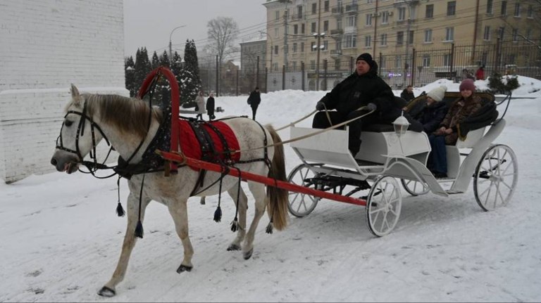 В Брянске провели рождественскую благотворительную акцию с катанием на лошадях