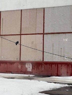 В Брянске пожаловались на опасную ловушку