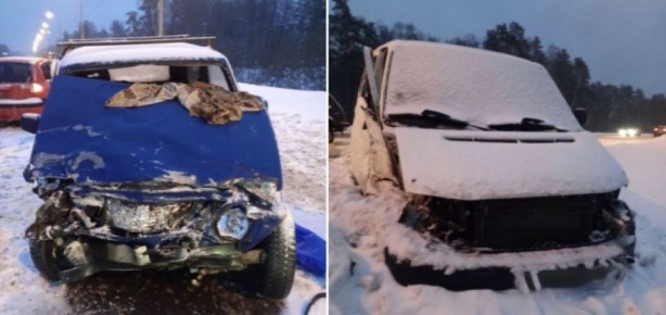 ����� � ������������ ����������� ��� ��������