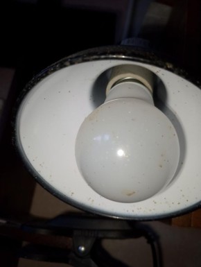 �������������� ��������������� �� �������� ������������