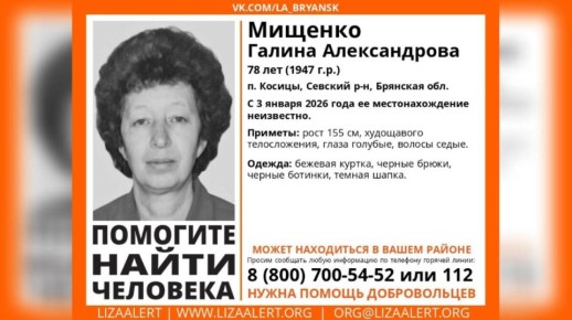 В Брянской области ищут пропавшую без вести 78-летнюю женщину