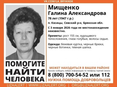 В Брянской области 6 дней ищут пропавшую пенсионерку