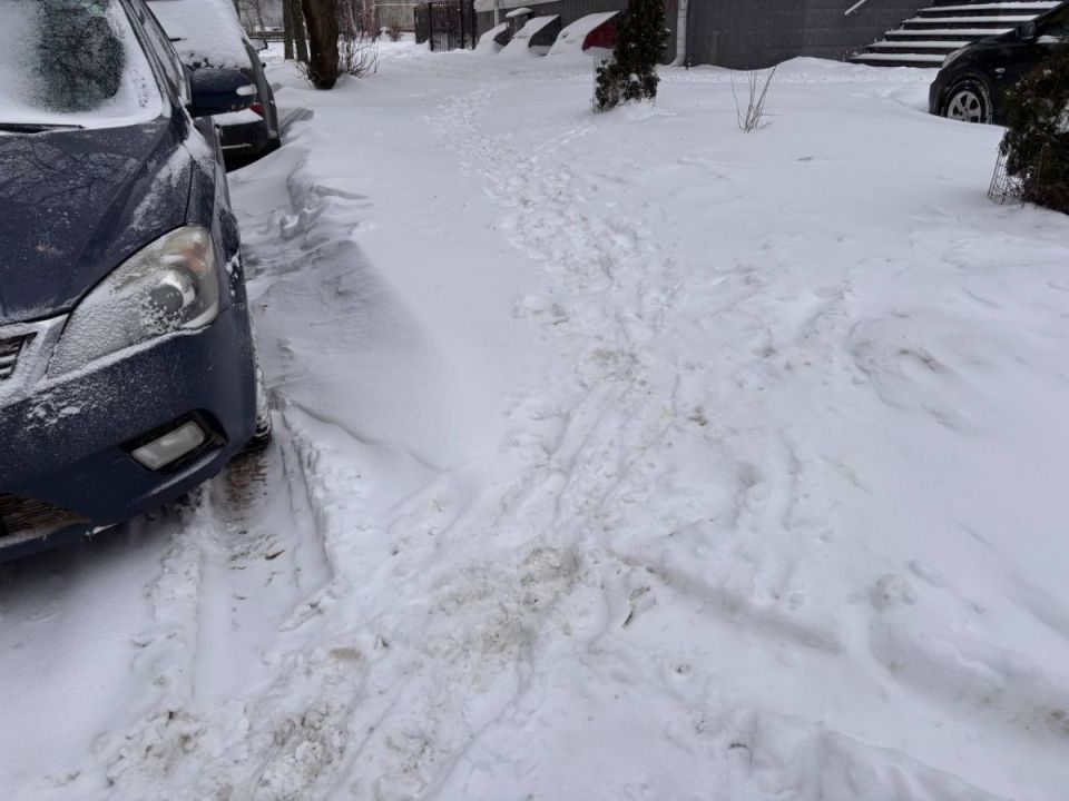 �������: ������������� ���������������� ������ 60 % ������������ �������