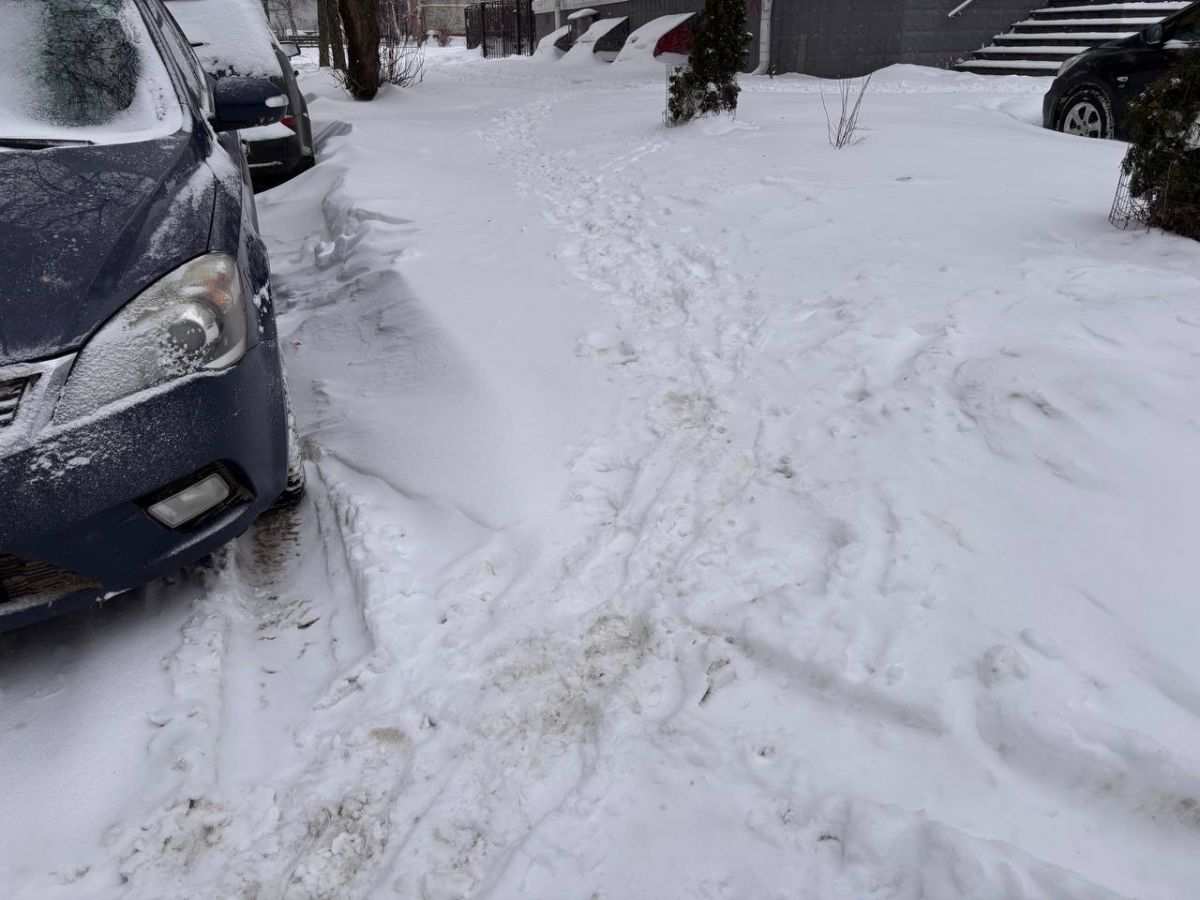 Богомаз: восстановлено электроснабжение больше 60 % потребителей области