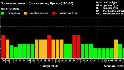 Магнитная буря обрушилась на Брянскую область