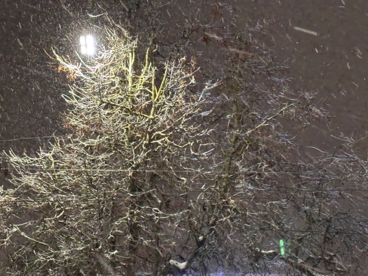 Богомаз предупредил брянцев о надвигающихся аномальных морозах