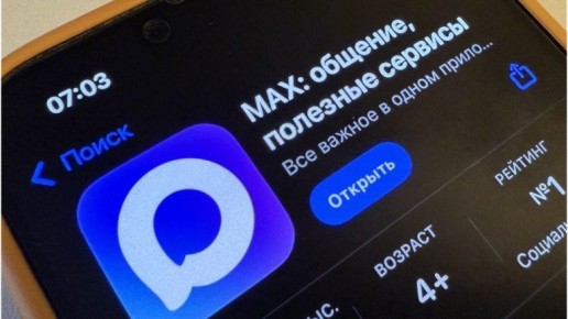 Обрушившийся на Брянск циклон «Фрэнсис» оживил домовые чаты в мессенджере Max