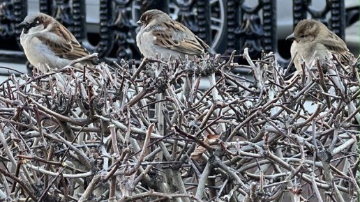 ������� ����������, ��� ����� � ������ ������� �����