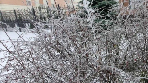 Густой туман опустился на Брянск на фоне сильного похолодания