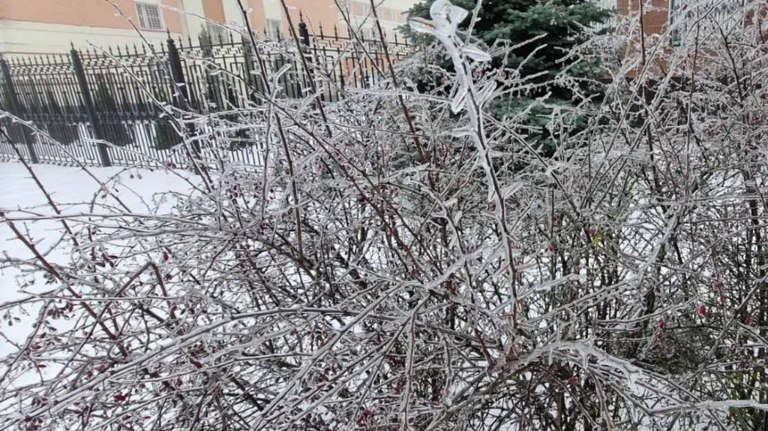 Густой туман опустился на Брянск на фоне сильного похолодания