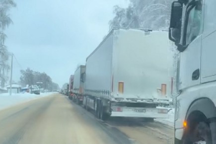 ������������ �����������. ������� ������������ � ������ �� ������� � �����������