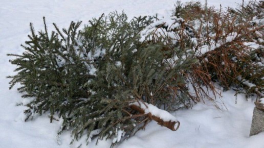 �������� ����������: ��� ������ ����� ����� ���������� ������� �� �����������