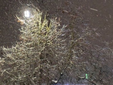 ��������� 12-������� ���������� �������� ���� ������� ����� 6 ���