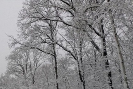 �������� ��� �������� �������� ������� �� 13 ������