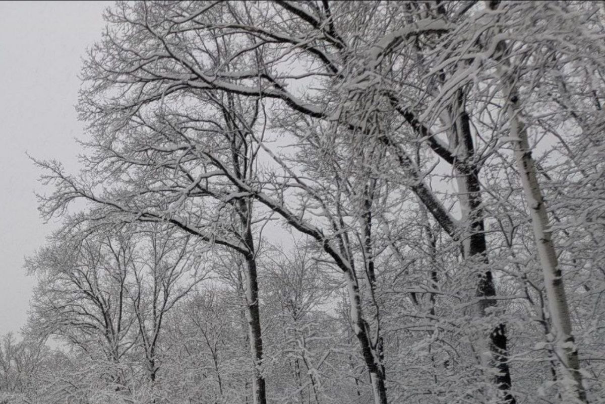 Брянское МЧС обновило «ледяной» прогноз на 13 января