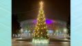 Брянцев пригласили выбрать самую красивую городскую ёлку