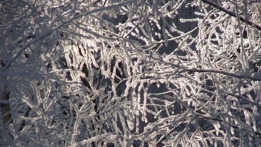 � �������� ������� �������� ����� �������� ���� � ������ ������