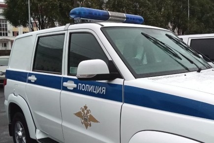 Мужчина попытался похитить игрушечную лошадь из магазина в Брянске