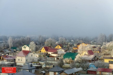 Брянцев предупредили о 24-градусном морозе на Старый Новый год
