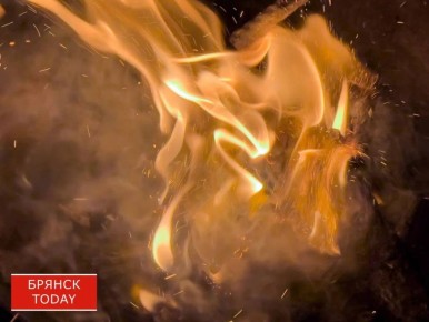 За сутки брянские огнеборцы ликвидировали один пожар