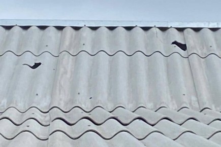 ��������� �������: ��� �������� �������� ���������� ��� ������ ��������