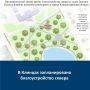 Благодаря реализации федерального проекта «Формирование комфортной городской среды», который входит в состав национального проекта «Инфраструктура для жизни» продолжится благоустройство общественных территорий, парков...