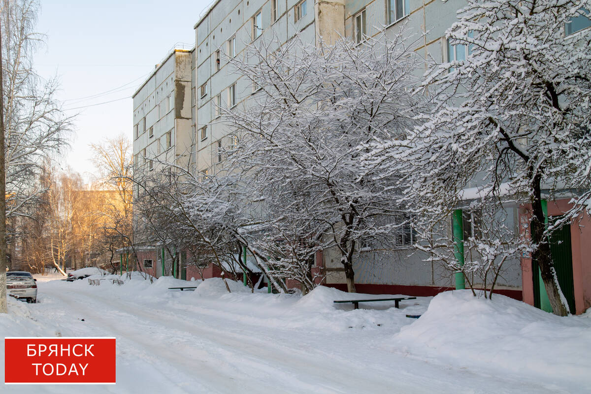 «Похолодает до -26»: брянцам сообщили о погоде на 16 января