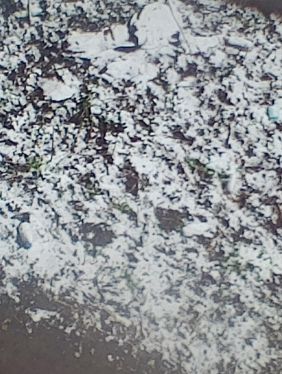 Ночь на 16 января принесёт брянцам сильнейшие морозы