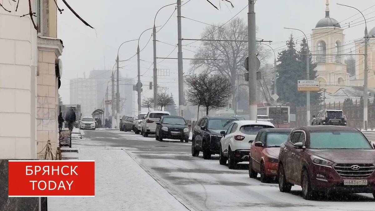 В Брянской области прогнозируют аномальные морозы до 20 января