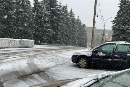 ���������� ������ ����� �������� ������� �� 20 ������