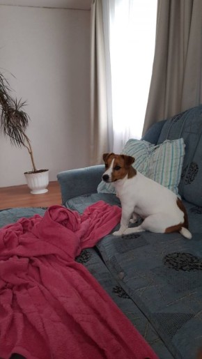 � ������ ���� ���������� ����-�������